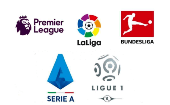 们赢得了不 们赢得了不